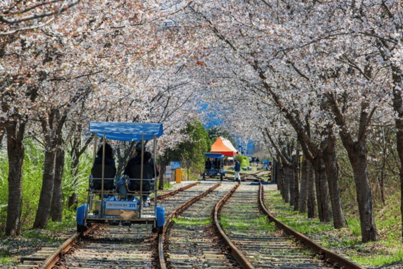 Seoul: Samaksan Cable Car & Nami with Alpaca World/Railbike - Who this tour fits best