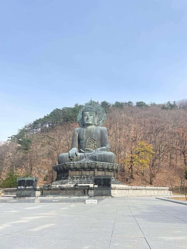Seoul: Seorak Mountain, East DMZ, and Sokcho Tour - A Private 12-Hour Seoul-Day Trip to Seoraksan, Sokcho, and the East DMZ