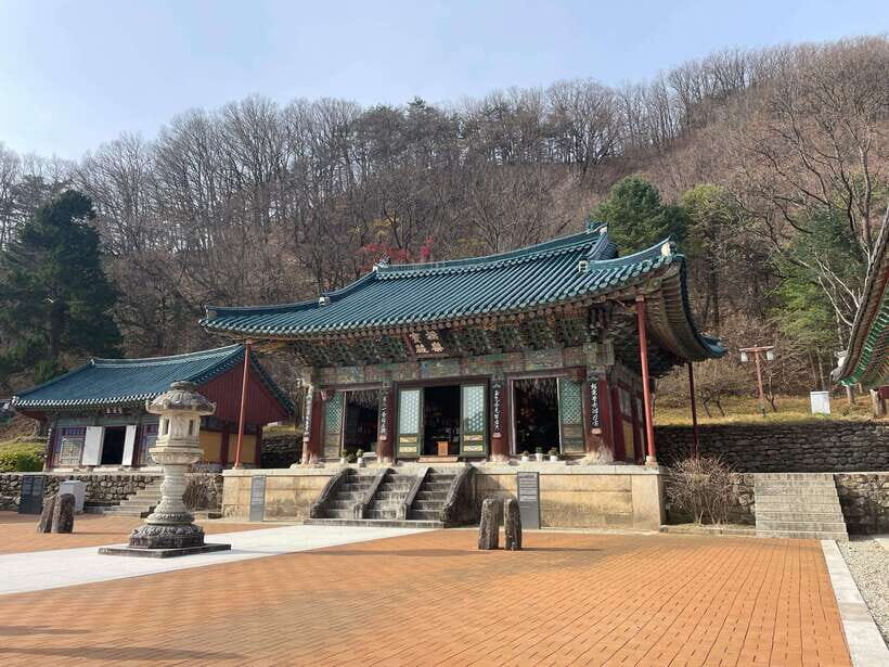 Seoul: Seorak Mountain, East DMZ, and Sokcho Tour - Goseong Unification Observatory: Views and Korean War context