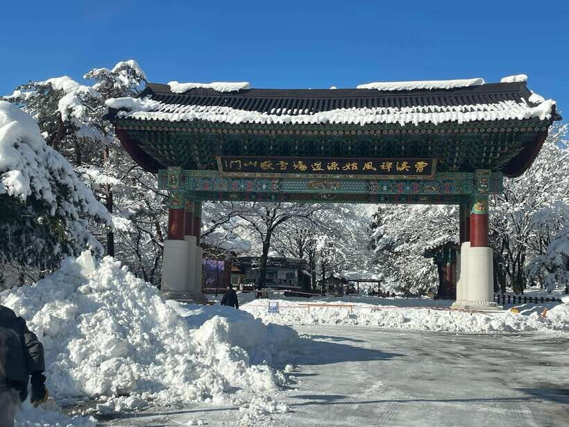 Seoul: Seorak Mountain, East DMZ, and Sokcho Tour - Sokcho Central Market: Lunch that matches the East Sea
