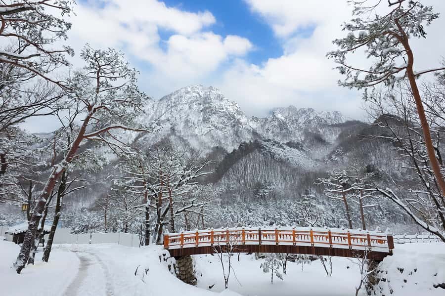 Seoul: Seorak Mountain+Nami Island+Eobi Ice Valley Tour - Quick hits: what makes this winter Seoul day tour worth it