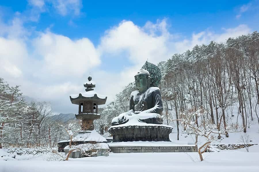 Seoul: Seorak Mountain+Nami Island+Eobi Ice Valley Tour - Seoraksan winter: cable-car views plus Tongil Daebul and Sinheungsa
