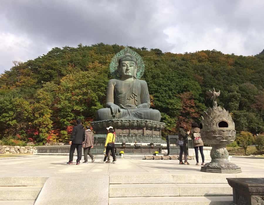 Seoul: Seorak Mountain+Nami Island+Eobi Ice Valley Tour - Nami Island in winter: ferry breeze, K-drama scenery, and time to wander