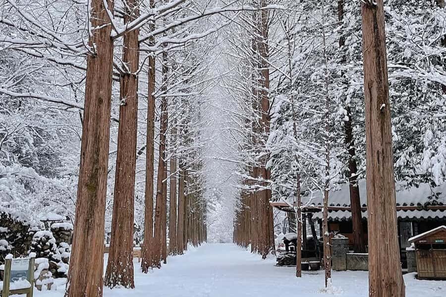 Seoul: Seorak Mountain+Nami Island+Eobi Ice Valley Tour - Eobi Ice Valley: frozen waterfall wonder and the Garden of Morning Calm backup