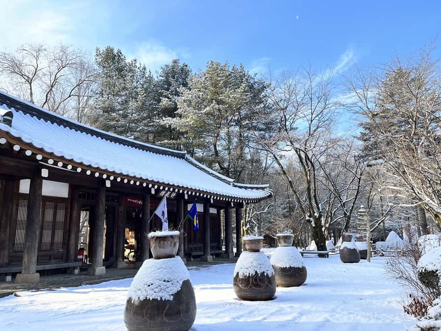 Seoul: Seorak Mountain+Nami Island+Eobi Ice Valley Tour - Price and value: why $79 can make sense for this route