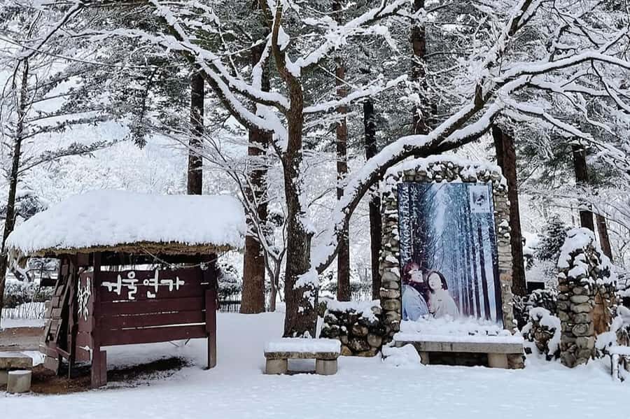Seoul: Seorak Mountain+Nami Island+Eobi Ice Valley Tour - Should you book the Seoraksan + Nami Island + Eobi Ice Valley day tour?