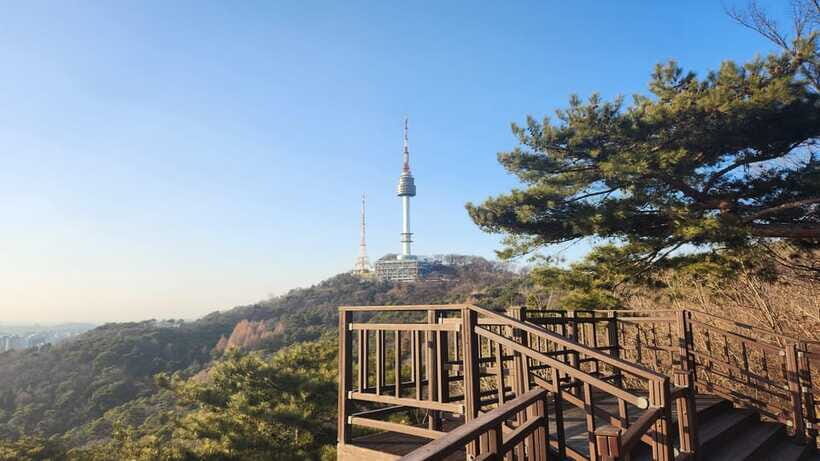 Seoul: Services of a Local for a Day (Paperwork/Tour/Fun) - Practical tips before you book this Seoul local day