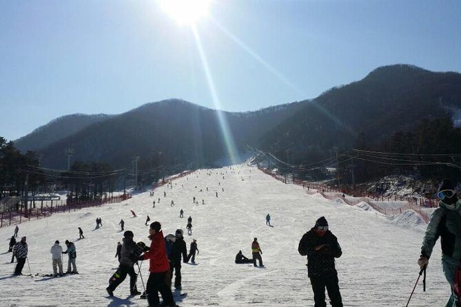 Seoul Ski Tour at Jisan Forest Resort - The Return Trip: Ginseng Center or Duty Free Stop