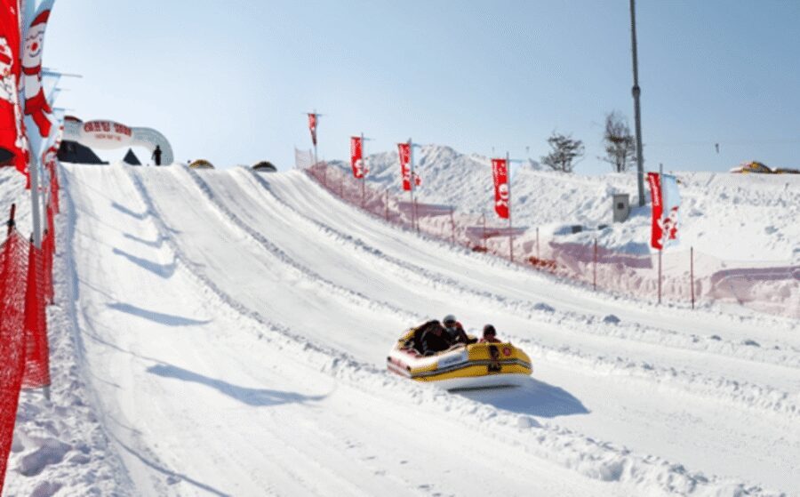 Seoul: SnowyLand in Vivaldi Park with Nami or Alpaca - Key highlights you’ll actually feel during the day
