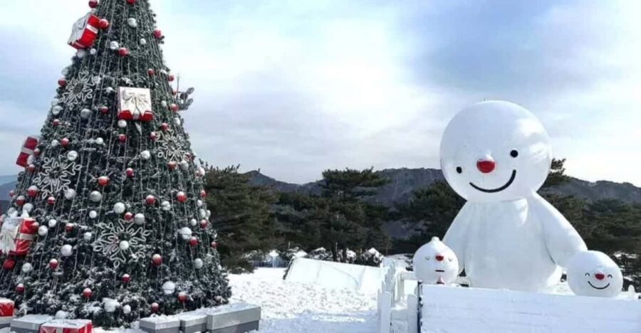 Seoul: SnowyLand in Vivaldi Park with Nami or Alpaca - Guide experience: why a good one matters on snow days