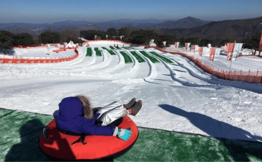 Seoul: SnowyLand in Vivaldi Park with Nami or Alpaca - The full schedule from Seoul: how the timing actually works