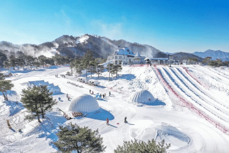 Seoul: SnowyLand in Vivaldi Park with Nami or Alpaca - What lunch is like (and how to handle the not-included part)