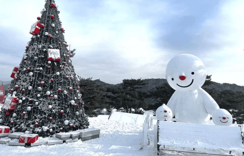 Seoul: SnowyLand in Vivaldi Park with Nami or Alpaca - Your main choice: Nami Island winter stroll vs Alpaca World cuddles