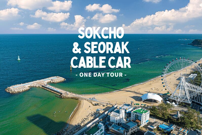 Seoul: Sokcho beach, market, hot spring and Seorak Cable Car - Sokcho Tourist & Fishery Market: Seafood Bites With a Local Pulse