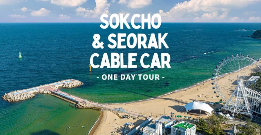Seoul: Sokcho beach, market, hot spring and Seorak Cable Car - Cheoksan Foot Bath Park: Planned Recovery for Tired Legs