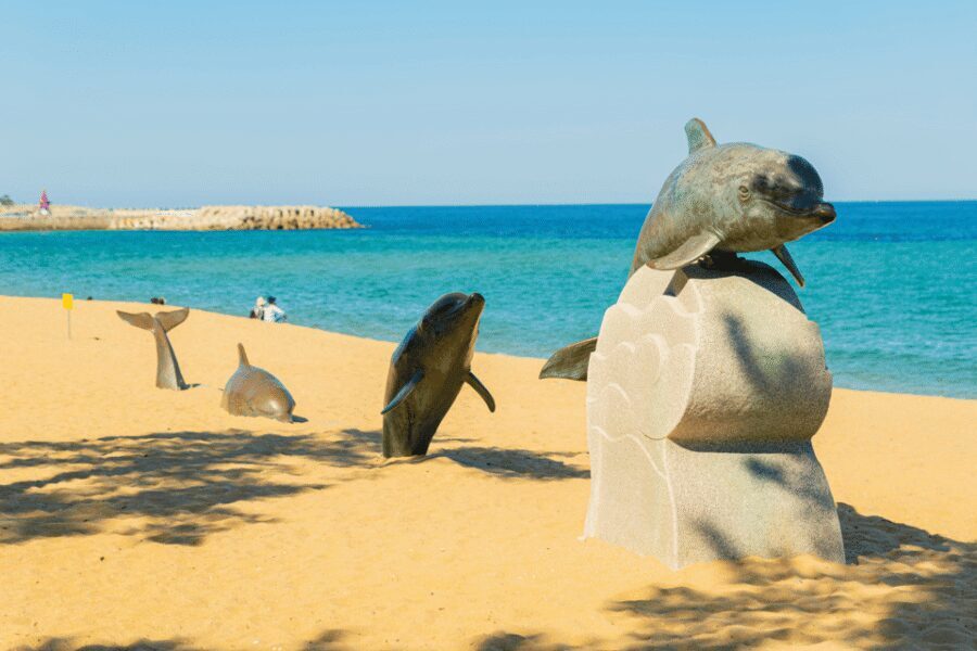 Seoul: Sokcho beach, market, hot spring and Seorak Cable Car - Who This Tour Suits Best (and Who Might Not)