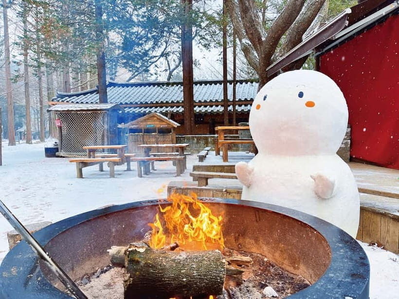 Seoul: Strawberry Picking & Eobi Ice Valley & Nami Island - Garden of Morning Calm vs Petite France: Pick Your Winter Mood