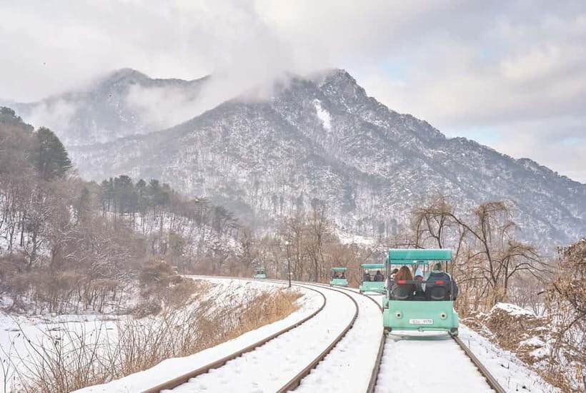 Seoul: Strawberry Picking & Eobi Ice Valley & Nami Island - Strawberry Picking at a Gangwon Farm: Sweet, Simple, and Very Seasonal