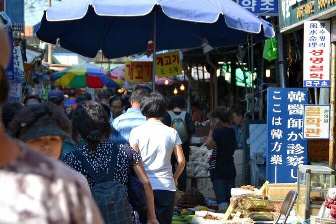Seoul: Temple Vegan Cooking Class & Oriental Medicine Tour - Key Highlights You’ll Actually Feel in Your Day