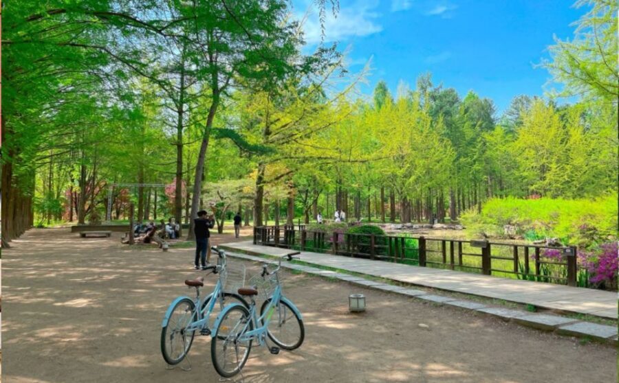 Seoul: The Painter Show with Nami Island or Alpaca World - The Painters Kyunghyang Arthill show: live drawing meets K-Pop energy
