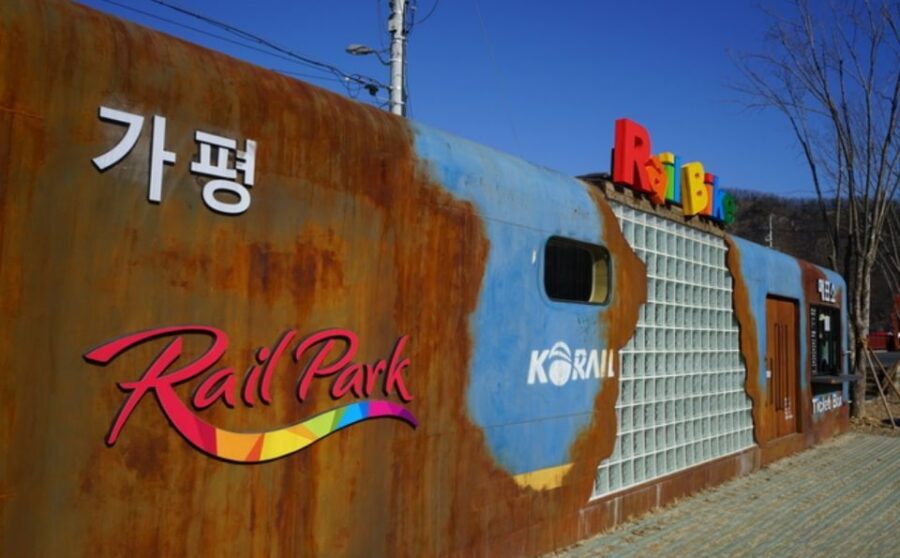Seoul: The Painter Show with Nami Island or Alpaca World - Who this tour fits best