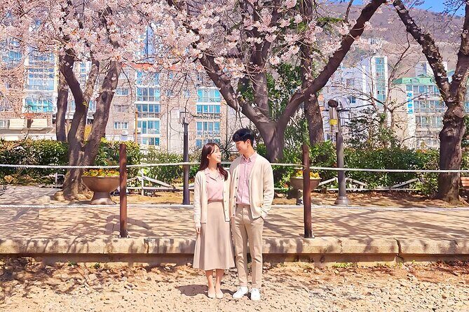 Seoul to Jinhae Cherry Blossom Festival (With Busan Drop-off) - Seoul pick-up and the long-day rhythm (12 to 16 hours)