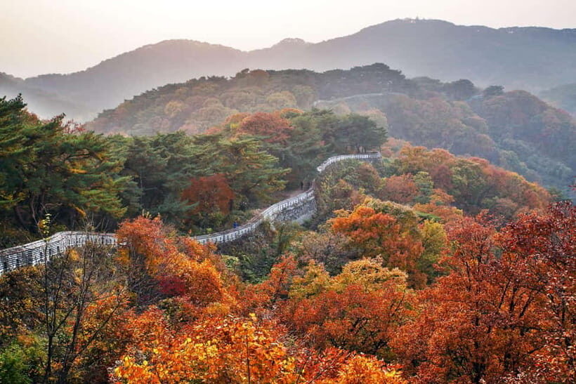 Seoul: UNESCO Namhansanseong, Royal Tomb & Icheon (EG Tour) - Yeongneung and King Sejong’s Royal Tomb Area (UNESCO)