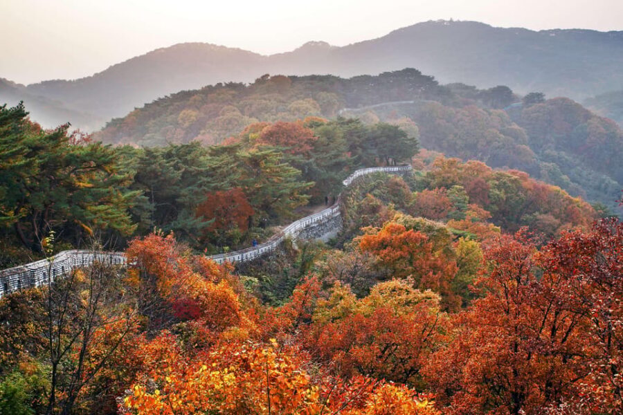 Seoul: UNESCO Namhansanseong, Royal Tomb & Icheon (EG Tour) - Price and Value: What $65 Really Buys You