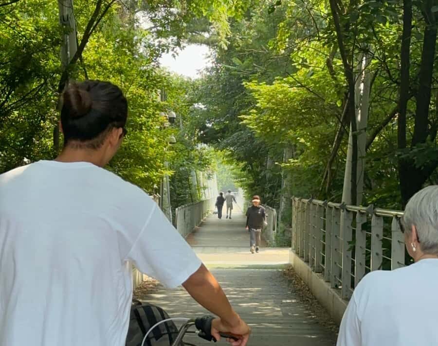 Seoul: Urban Nature Bike Tour along Han River - Pedaling the Han River: why the river feels like Seoul’s secret lung