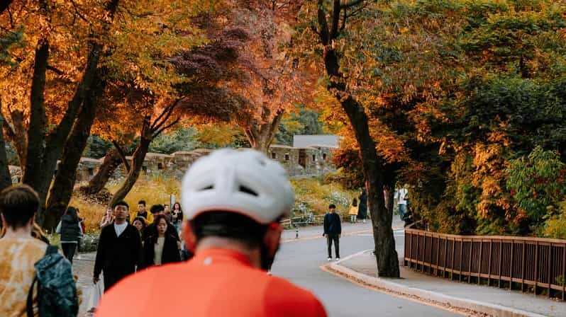 Seoul: Urban Nature Bike Tour along Han River - What’s included (and what you bring) so you’re not stuck on the day