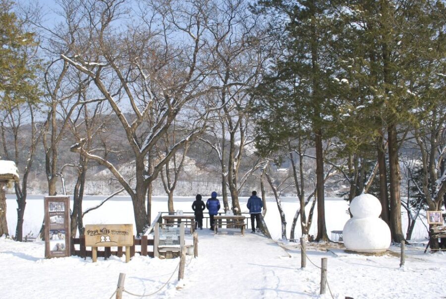 Seoul: Vivaldi Park Winter Ski with Nami Island Day Tour - Key Highlights You’ll Actually Feel During the Day