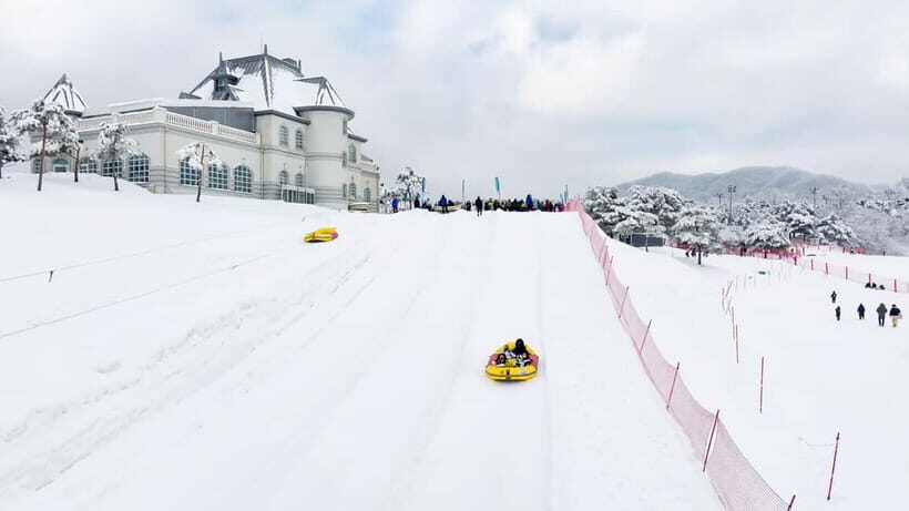 Seoul: Vivaldi Park Winter Ski with Nami Island Day Tour - Rental Shop Basics: What You Get Before You Hit the Snow