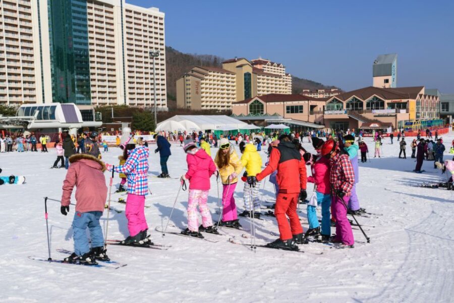 Seoul: Vivaldi Park Winter Ski with Nami Island Day Tour - Ski, Snowboard, or Sled: Picking the Right Option for Your Day