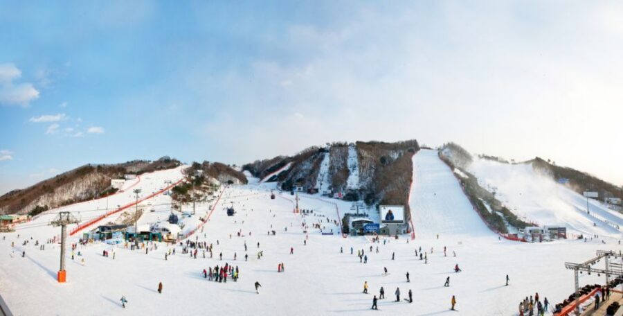 Seoul: Vivaldi Park Winter Ski with Nami Island Day Tour - Nami Island in Winter: Photo Avenues and a Drama-Ready Walk