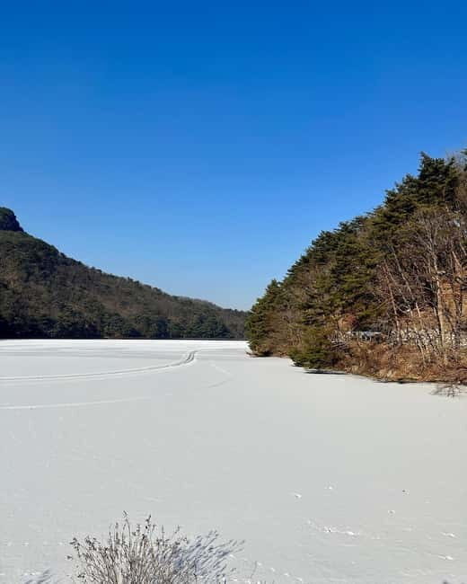 Seoul: Winter Day Tour in Pocheon (+Strawberry Picking) - Key points worth knowing