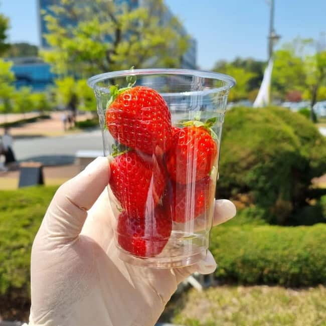 Seoul: Winter Day Tour in Pocheon (+Strawberry Picking) - Why a Pocheon winter day trip hits different than Seoul sightseeing