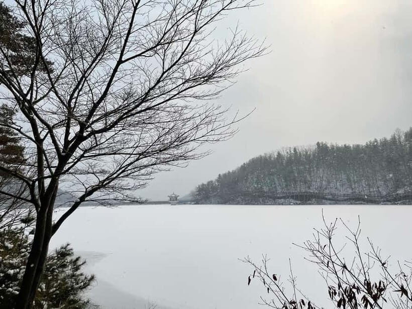Seoul: Winter Day Tour in Pocheon (+Strawberry Picking) - Pickup, timing, and how to plan your winter day right
