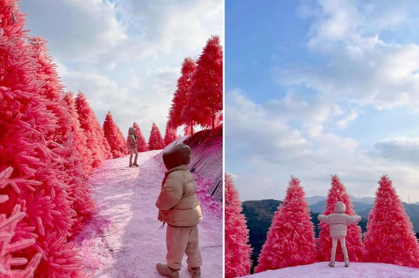 Seoul: Winter Day Tour in Pocheon (+Strawberry Picking) - Atal Strawberry Farm: picking and tasting sweet fruit in winter