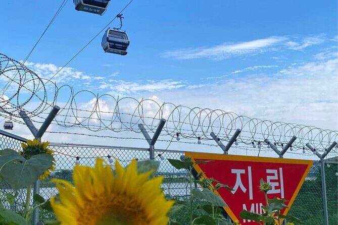 Signature DMZ Tour: Exclusive Defector Talk & Suspension Bridge - The Defector Interview: Your Most Human Moment of the Day