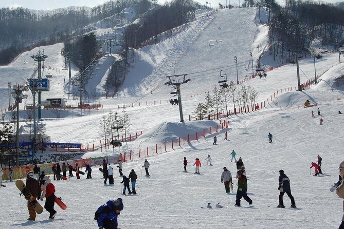 Ski Tour to Jisan Ski Resort from Seoul - The Ski Tour upgrade: lessons, equipment, and realistic expectations