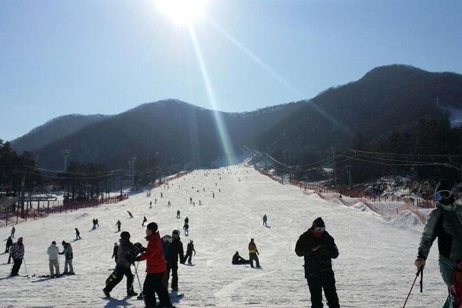 Ski Tour to Jisan Ski Resort from Seoul - Jisan Forest Resort vs Yanji Pine Resort: how your day gets decided