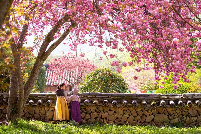 Sky Capsule with Cherry Blossom & Spring Flowers Tour from Busan - Key Highlights You Should Know