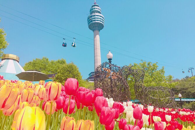 Sky Capsule with Cherry Blossom & Spring Flowers Tour from Busan - Planning Your Day: Timing, Weather, and What to Bring