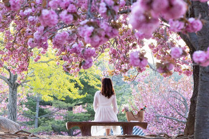 Sky Capsule with Cherry Blossom & Spring Flowers Tour from Busan - What You’ll See: Coast Views First, Then Blossom Photos