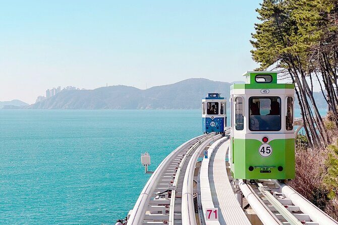 Sky Capsule with Cherry Blossom & Spring Flowers Tour from Busan - Practical Tips for a Better Sky Capsule and Blossom Day