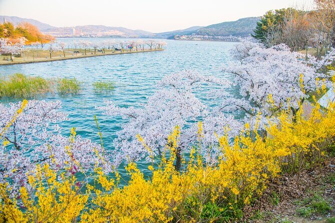 Sky Capsule with Cherry Blossom & Spring Flowers Tour from Busan - The Guide Factor: Why Alice’s Busan Style Matters