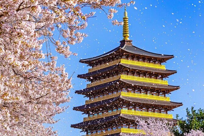 Sky Capsule with Cherry Blossom & Spring Flowers Tour from Busan - Transportation, Staff, and the Value of Getting Tickets Included