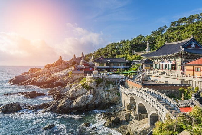 Small Group Busan Must-see Tour Opt. Songdo Ocean Cable Car - BIFF Square and Gukje Market: local culture, food stops, and real Busan energy