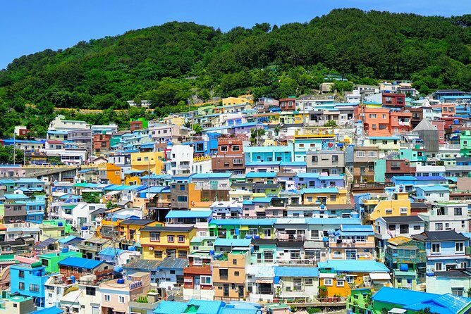 Small Group Tour of Busan Highlights by licensed tour guide - Haedong Yonggungsa: Ocean Views and Temple Time Without the Guesswork