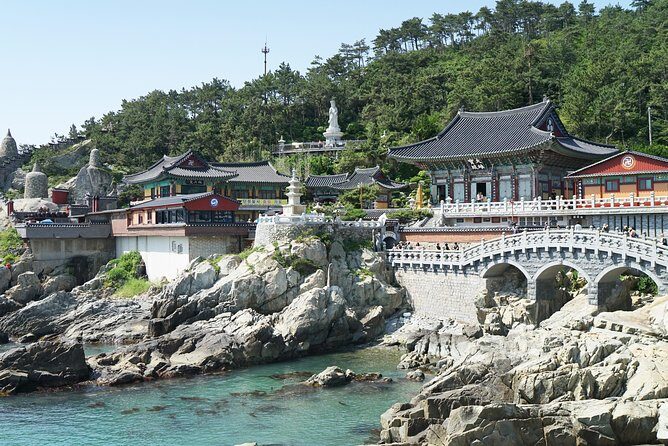 Small Group Tour of Busan Highlights by licensed tour guide - Gamcheon Culture Village: Street Art With a Real Story Behind It